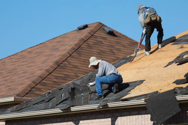 Best Roof Coating and Sealing  in Lowell, AR