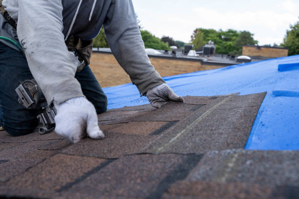 Best Roof Leak Repair  in Lowell, AR